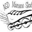 Logo Skating Fast